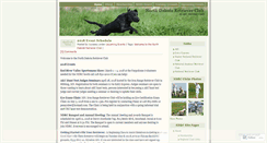 Desktop Screenshot of ndrc.org